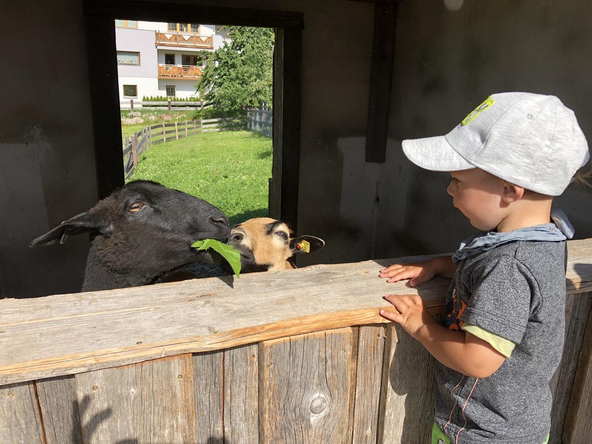 Albeinelerhof Apartment Arzl im Pitztal Bagian luar foto